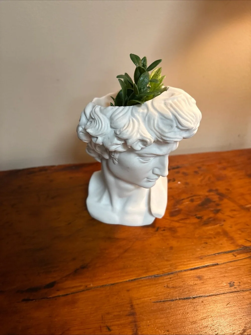 White Sculpted Bust Planter - Decorative David Head Vase